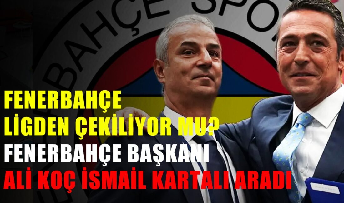 Fenerbahçe Kulübü Başkanı Ali