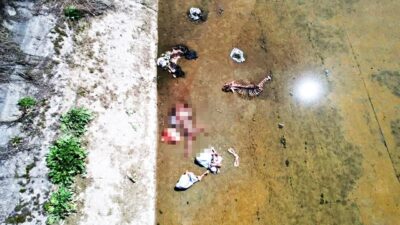 Adana’daki sulama kanalında at ve