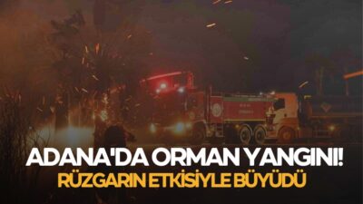 Adana'nın Sarıçam ilçesinde ormanlık alanda
