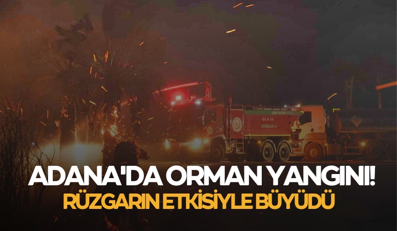 Adana’da Orman Yangını : Rüzgar Kontrolü Zorlaştırıyor