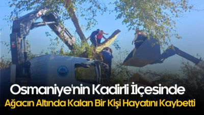 Osmaniye’nin Kadirli ilçesinde kestiği ağacın