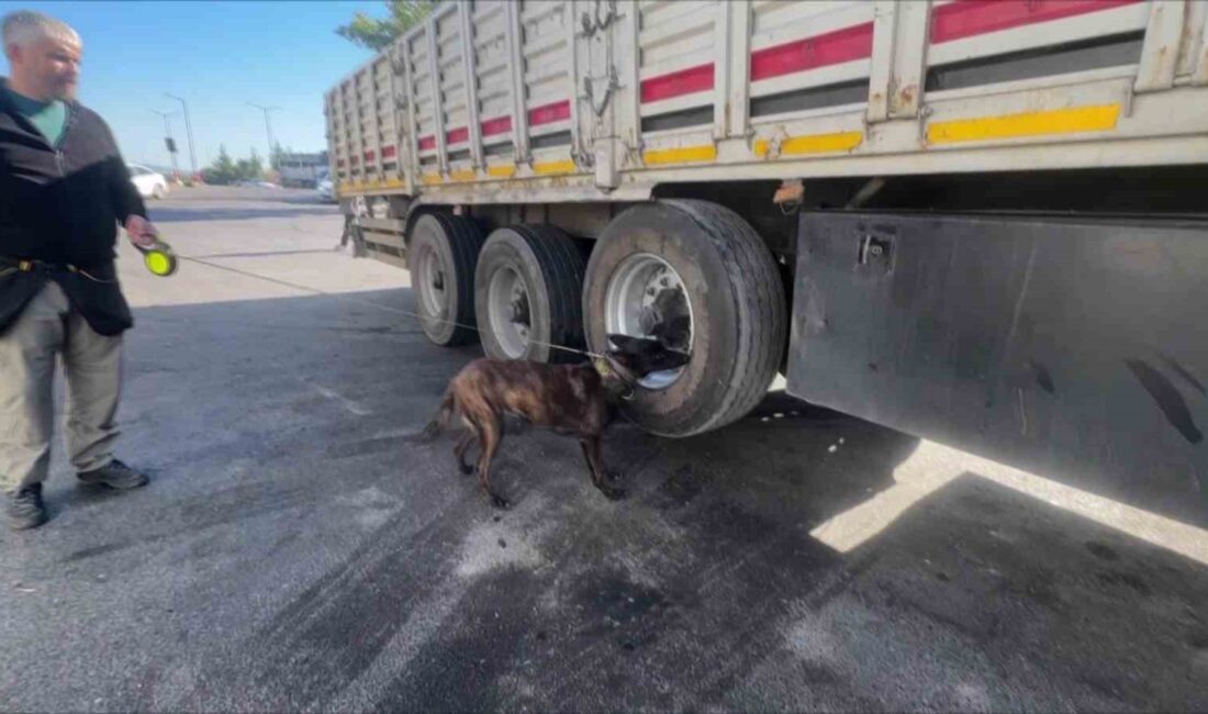 Adana'da durdurulan tırın lastiklerin'de