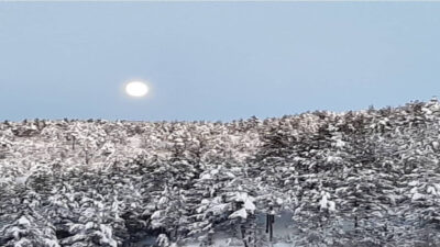 Adana’nın Feke ilçesinde bu yıl
