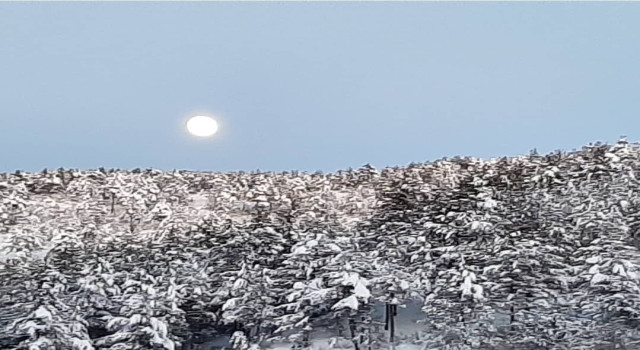 Adana’nın Feke ilçesinde bu