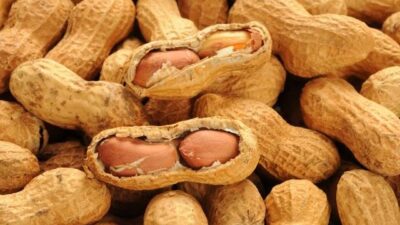 TV8 ekranlarında yayınlanan MasterChef Türkiye'nin