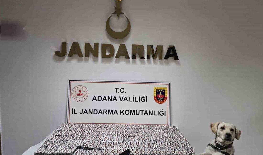 Adana’da, jandarma ekiplerinin düzenlediği