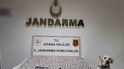 Adana’da, jandarma ekiplerinin düzenlediği operasyonda
