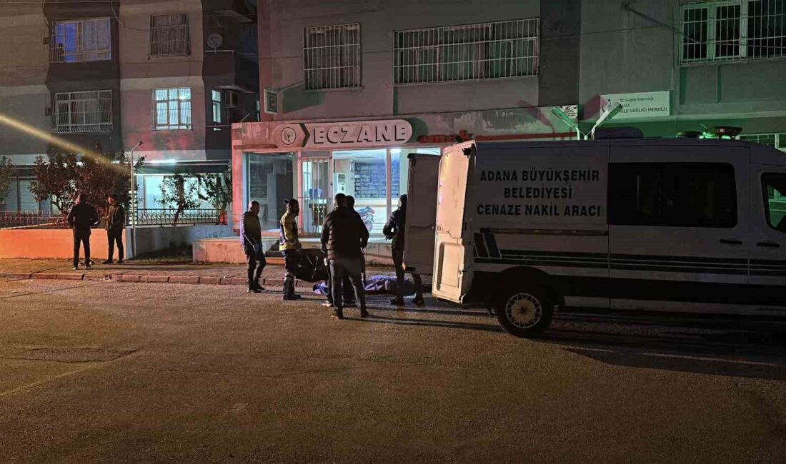 Adana'nın Seyhan ilçesinde 18