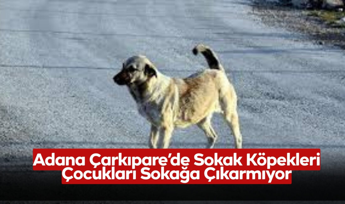 Adana Sarıçam ilçesi Çarkıpare