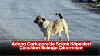 Adana Sarıçam ilçesi Çarkıpare Mahallesi’nde